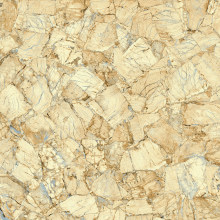 斯米克 晶立方 木晶石-木化石系列 贝壳石