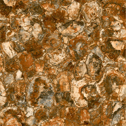 斯米克 晶立方 木晶石-木化石系列 斑彩石